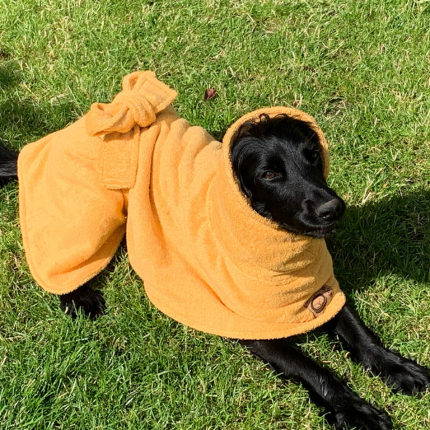 Soggy Doggy Drying Robe