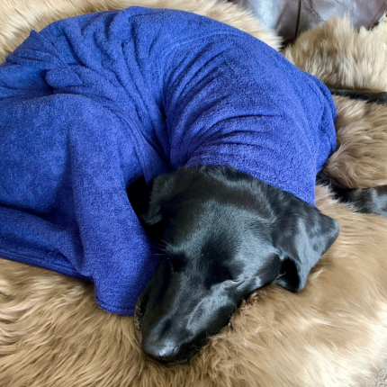 Soggy Doggy Drying Robe