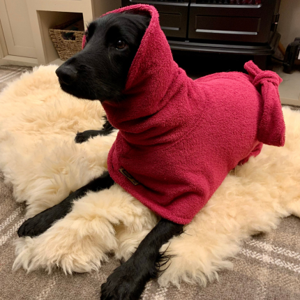 Soggy Doggy Drying Robe