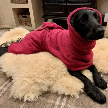 Soggy Doggy Drying Robe