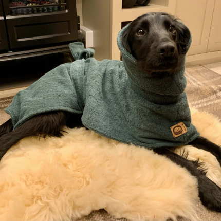 Soggy Doggy Drying Robe