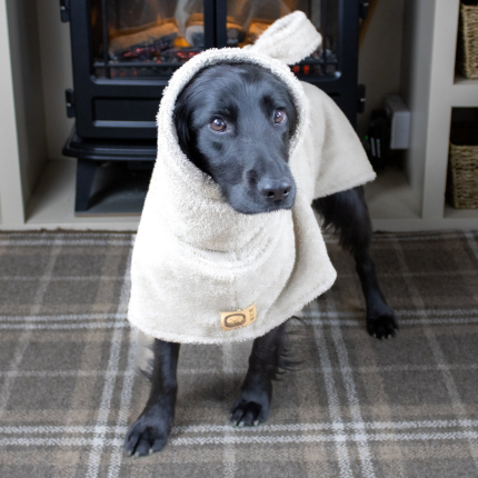 Soggy Doggy Drying Robe