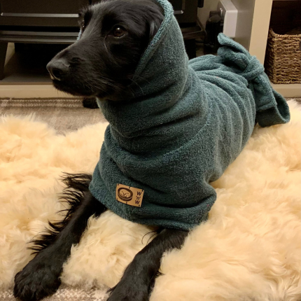 Soggy Doggy Drying Robe