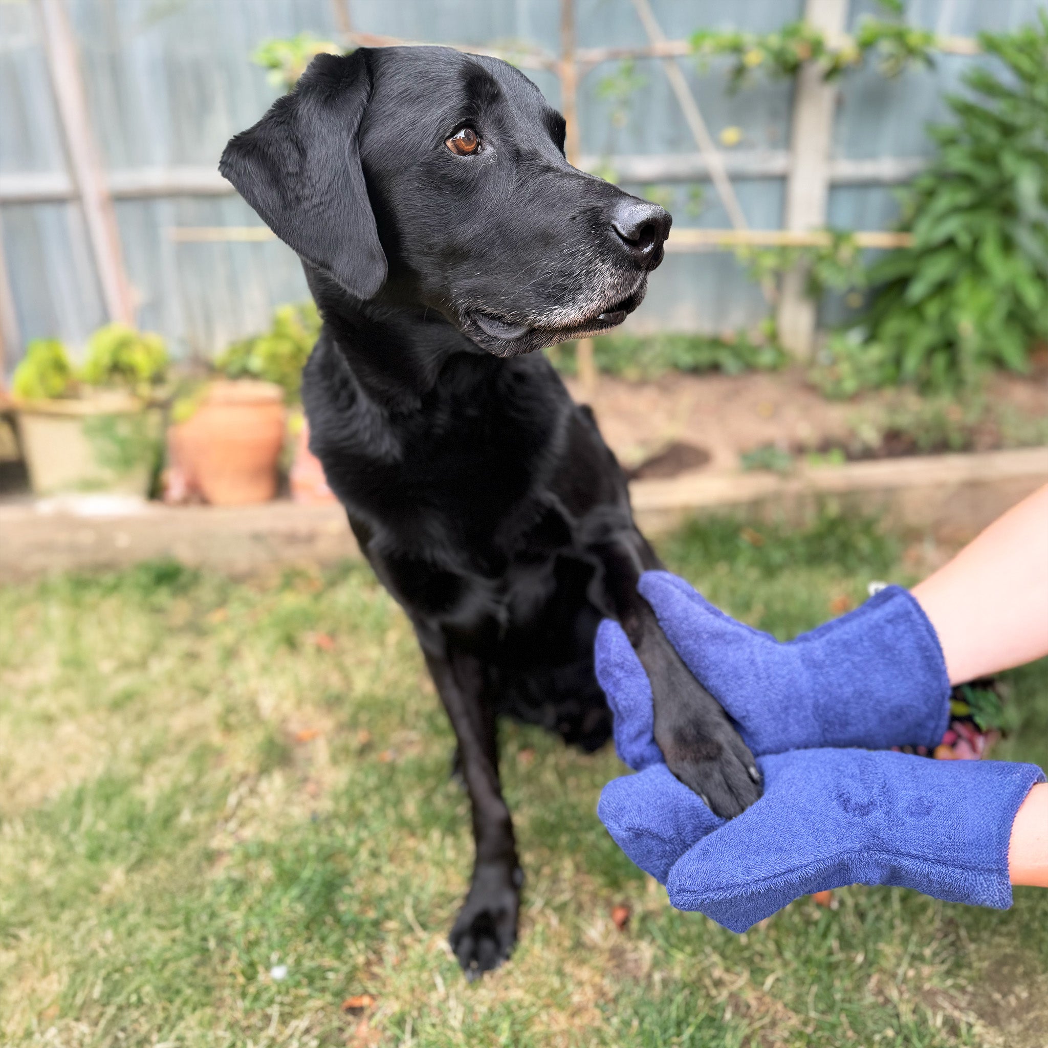 Drying Mitts – Wool'n'Woofers